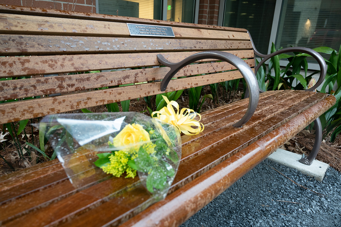 An arrangement of flowers on a bench